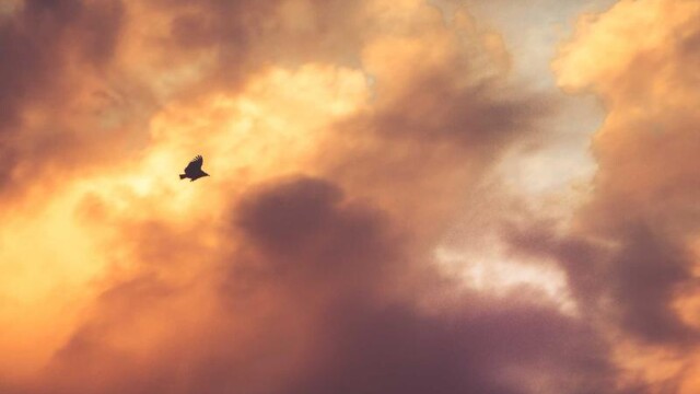 Moving Boxes – Side View