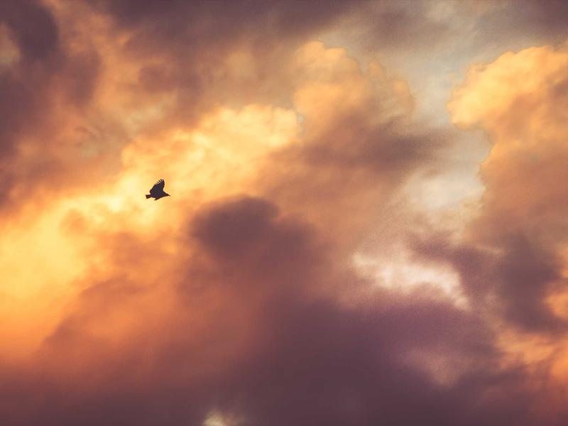 Moving Boxes – Side View