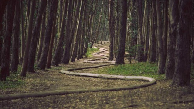 Moving Boxes – Close Up