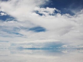 Test Listing - Garden Hose